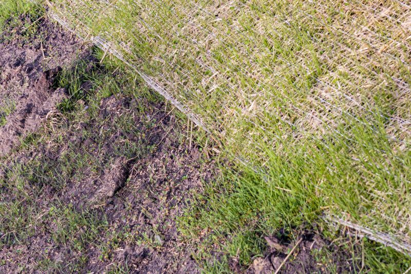 Erosion Control Measures