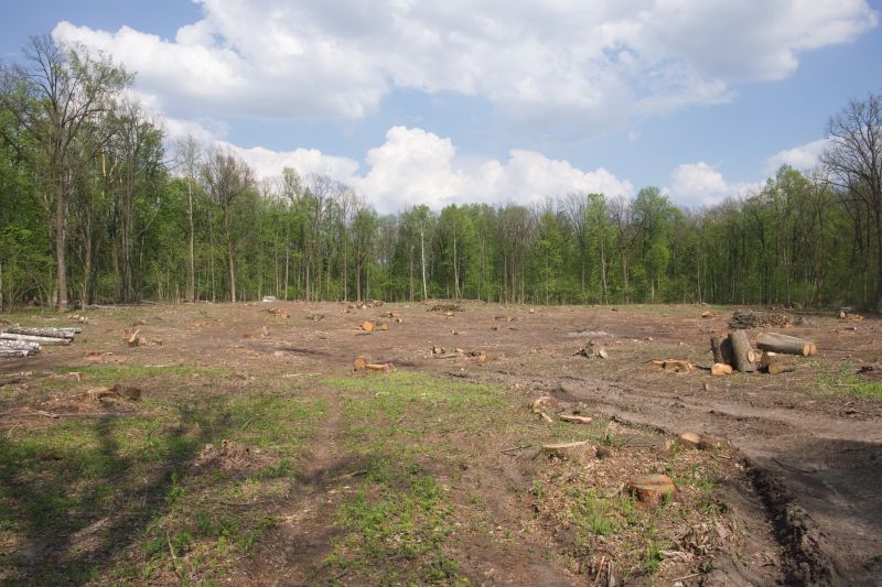 Acreage Clearing in Marietta, GA
