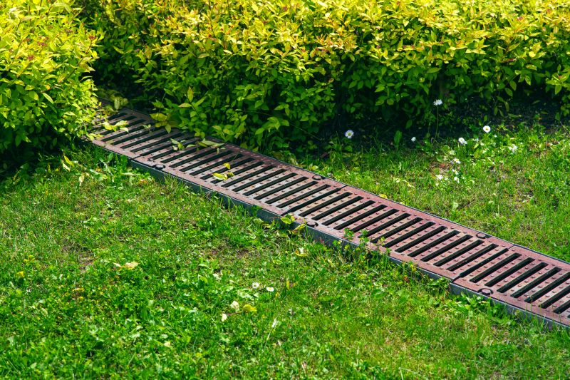 Yard Grading and Drainage Service