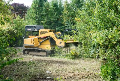 Building Site Clearing in Marietta, GA