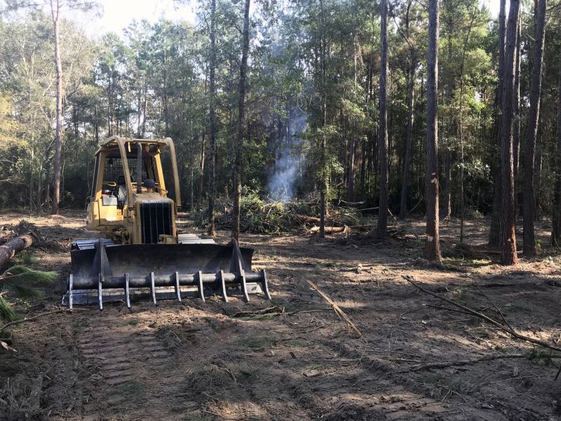 Bulldozer Clearing in Katy, TX