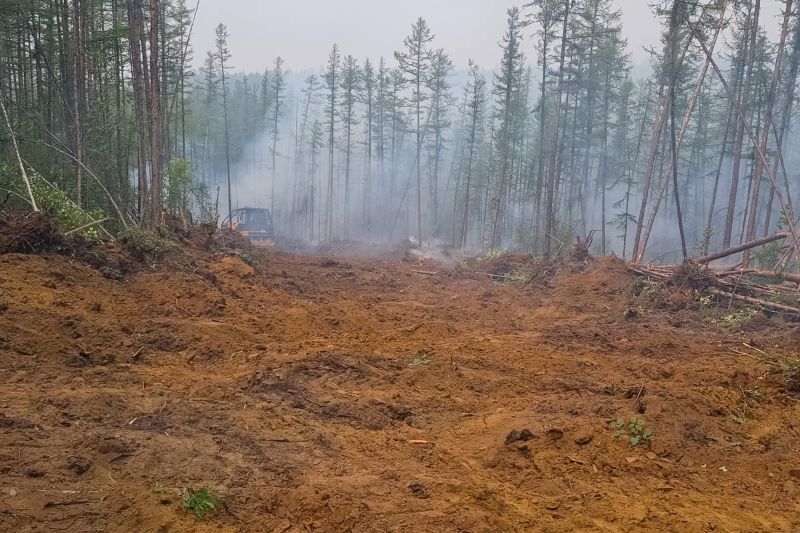 Bulldozer Clearing in Marietta, GA