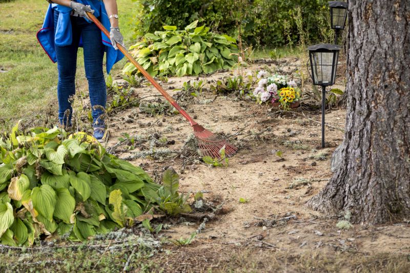 Bushes Clearing in Salt Lake City, UT