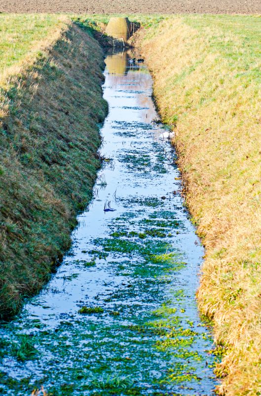 Ditch Repair in Atlanta, GA