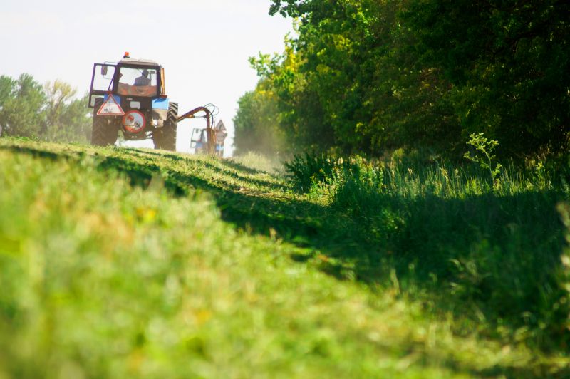 Field Clearing in Katy, TX