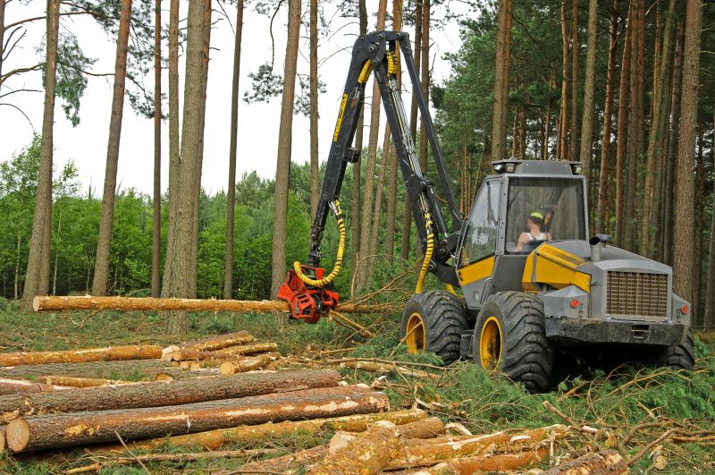 Forestry Clearing in Marietta, GA