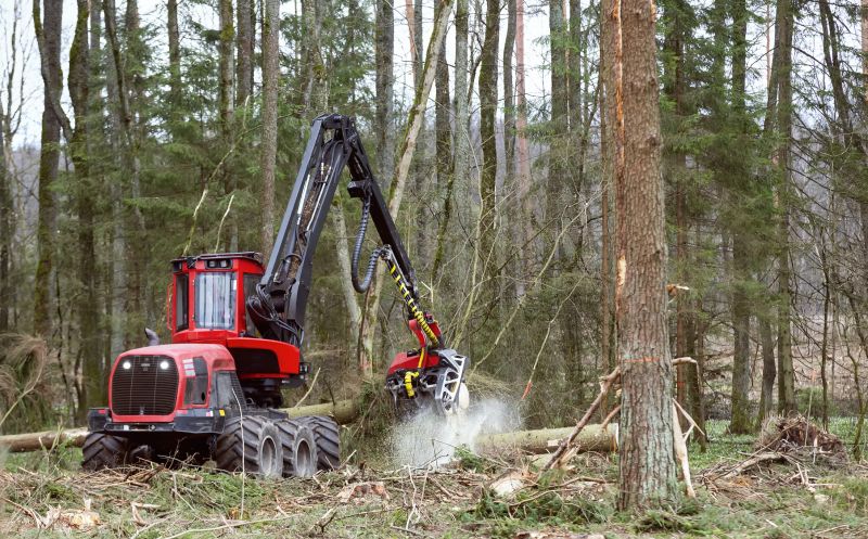 Forestry Clearing in Atlanta, GA