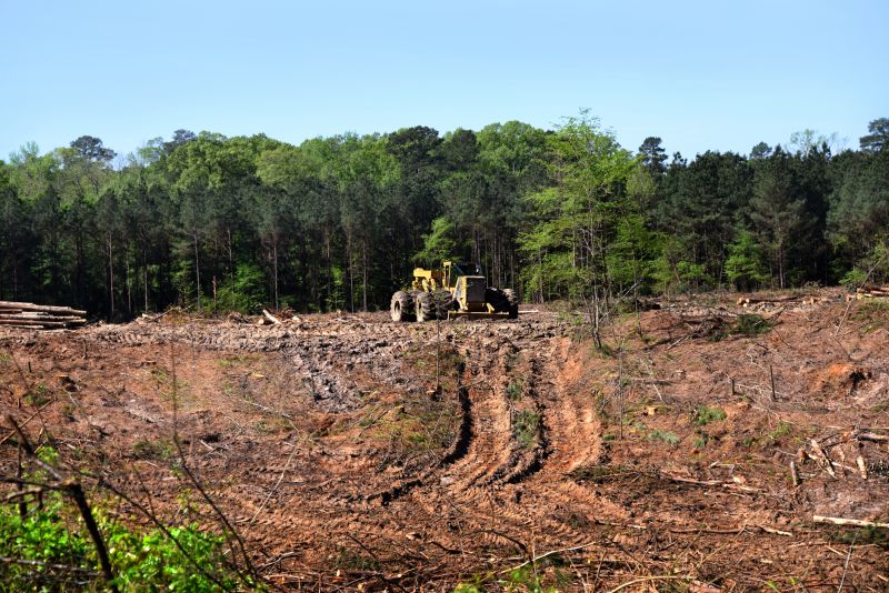 Hill Clearing in Atlanta, GA