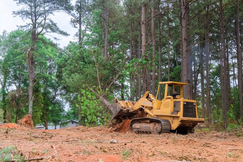 Site Cleaning in Houston, TX