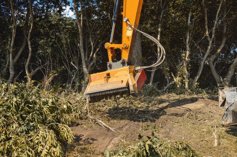 Underbrush Clearing in Katy, TX